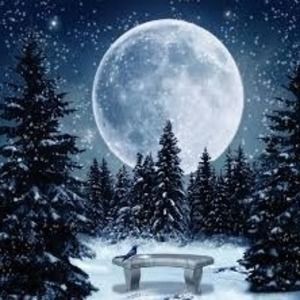 Meet your Posher, Peggy